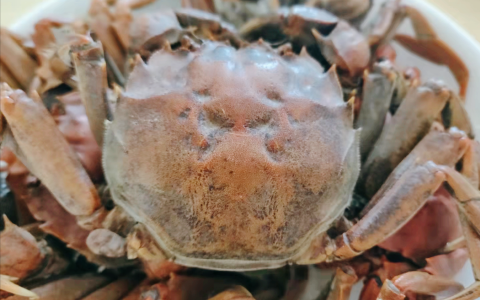 螃蟹煮多久可以吃（煮螃蟹是冷水下锅还是热水下锅）
