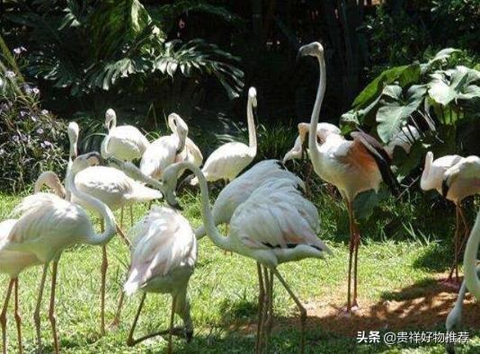 中国十大最受欢迎动物园（中国十大动物园排名）