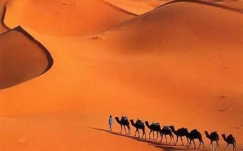 世界最大的沙漠（世界十大沙漠排名）