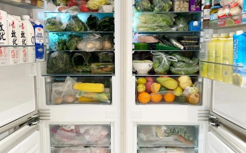冰箱什么品牌最好排名前十名（2022年冰箱排名前十名）
